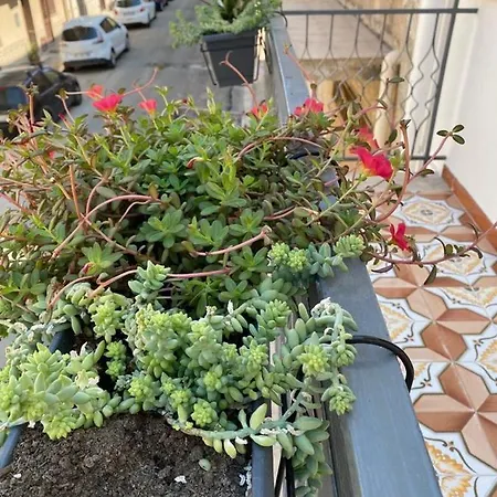 Casa Charlotte Terrasini